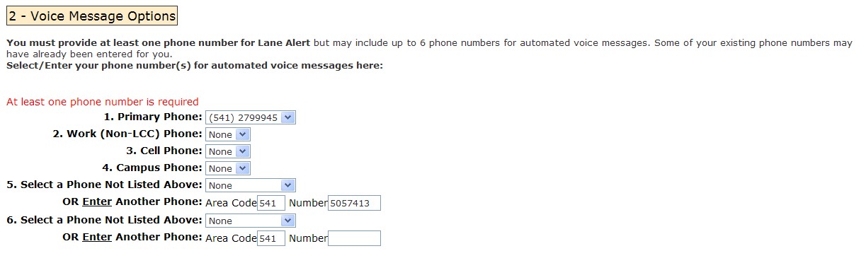 voice message options